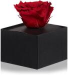 RoseAmor Red trandafir stabilizat în cutie 1 buc