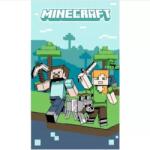Carbotex Minecraft: Kéztörlő - 30 x 50 cm (MC025923-RL30) - jateknet