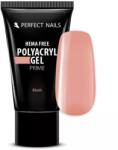 Perfect Nails Hema Free Tubusos Polygel - Blush 30g