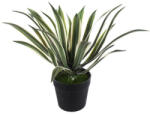 DekorPlaza Élethű Cserepes Agave Kicsi 44 Cm A26377