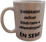  Emlékszel mikor kikértem a véleményed? . . . . -fehér bögre