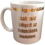 Nem ignorállak. . . . -fehér bögre