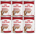 Royal Canin ROYAL CANIN® Medium Adult 6x410 g nedves eledel, pástétom felnőtt kutyáknak, közepes testű fajtáknak