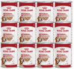 Royal Canin ROYAL CANIN® Medium Ageing 7+ 24x410 g nedves eledel, pástétom, 7 évnél idősebb, közepes testű kutyák számára