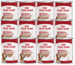 Royal Canin ROYAL CANIN® Medium Adult 12x410 g nedves eledel, pástétom felnőtt kutyáknak, közepes testű fajtáknak