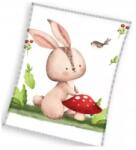 Carbotex Nyuszi mintás pléd - 110 x 140 cm (KNL231134-KOC) - jatekbolt