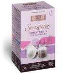 Evolet Forest Fruits capsule ceai compatibile Nespresso 10 buc