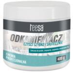 Teesa Vízkő eltávolító por, 400 g (TSA0010)