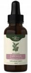 NANGA Extract din plante Nanga Licorice 1: 1 - 50 ml