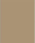  Dekorkarton, 2 oldalas, 50x70cm, 220 g, 10 lap, FOLIA, őzbarna (61221075) - mystock