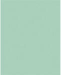  Dekorkarton, 2 oldalas, 50x70cm, 220 g, 10 lap, FOLIA, menta (61221025)