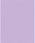  Dekorkarton, 2 oldalas, 50x70cm, 220 g, 10 lap, FOLIA, orgonalila (61221031) - mystock