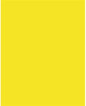  Dekorkarton, 2 oldalas, 50x70cm, 220 g, 10 lap, FOLIA, citromsárga (61221014) - mystock