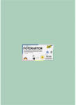  Dekorkarton, 2 oldalas, 50x70 cm, 300 g, 10 lap, FOLIA, menta (6125) - mystock