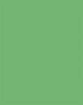 FOLIA Dekorkarton, 2 oldalas, 50x70cm, 220 g, 10 lap, FOLIA, smaragdzöld (FL61221054) - officepantry