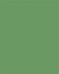 FOLIA Dekorkarton, 2 oldalas, 50x70cm, 220 g, 10 lap, FOLIA, mohazöld (FL61221053) - officepantry