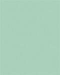 FOLIA Dekorkarton, 2 oldalas, 50x70cm, 220 g, 10 lap, FOLIA, menta (FL61221025) - officepantry