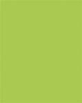 FOLIA Dekorkarton, 2 oldalas, 50x70cm, 220 g, 10 lap, FOLIA, tavaszzöld (FL61221050) - officepantry