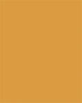FOLIA Dekorkarton, 2 oldalas, 50x70cm, 220 g, 10 lap, FOLIA, okkersárga (FL61221017) - officepantry