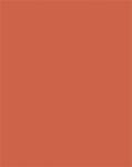 FOLIA Dekorkarton, 2 oldalas, 50x70cm, 220 g, 10 lap, FOLIA, narancssárga (FL61221040) - officepantry