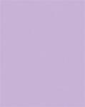 FOLIA Dekorkarton, 2 oldalas, 50x70cm, 220 g, 10 lap, FOLIA, orgonalila (FL61221031) - officepantry