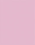 FOLIA Dekorkarton, 2 oldalas, 50x70cm, 220 g, 10 lap, FOLIA, halvány rózsaszín (FL61221026) - officepantry