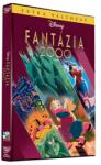 InterCom Fantázia 2000 - Különleges kiadás - DVD (L829170)