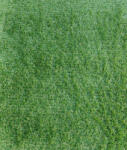 Delta Carpet JAKARTA, Covor Gazon Iarba Artificiala, Verde, 20 mm, Latime 3 m (JAKARTA-20-315)