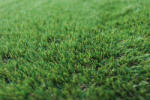 Delta Carpet CROWN , Covor Gazon Iarba Artificiala, Verde, 38 mm, Latime 2 m (CROWN-38-27)