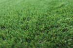 Gazon CROWN , Covor Gazon Iarba Artificiala, Verde, 38 mm, Latime 4 m (CROWN-38-410)