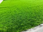 Delta Carpet HARPER, Covor Gazon Iarba Artificiala, Verde, 40 mm, Latime 2 m (HARPER-40-215)