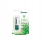 Himalaya tápláló ajakbalzsam 4.5 g (8901138509231)