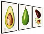 Avocado Triptichon konyhai gyümölcskészlet poszter 40x50 (Zestaw plakatów awokado plakaty na ścianę)