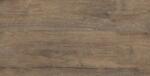 Fineza Burkolat Fineza Adore wood brown 30x60 cm matt ADORE36WBR (ADORE WOOD BROWN RETT.)