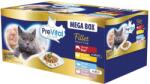 PreVital MEGA BOX tasakok - marhahús/csirke/pulyka/tonhal 40 x 85 g