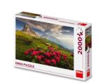 Dino Puzzle cu dinozauri Dolomiți italieni, 2000 de piese Puzzle