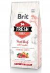 Brit Fresh Marhahúsos Tökbeles Puppy Large 12kg