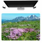  Asztali Alátét Védő Szőnyeg 50x35 Hegyek Mező Minta (Podkładka Perso Pod Mysz Wzory Nadruk)