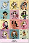 Erik Poster Erik Disney: Disney Princess - Brush Strokes (GPE5773)