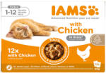 Iams 48x85 g IAMS Advanced Nutrition Kitten csirke szószban nedves macskatáp 36+12 ingyen