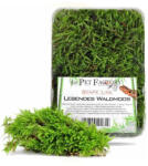  The Pet Factory Lebendes Waldmoos | Élő erdei moha bioaktív terráriumokhoz - 1 liter