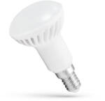 spectrumLED LED R50 E14 230V 6W CW, WOJ13989 SpectrumLED - Utolsó darabok! ! (WOJ13989x)