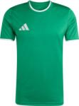 adidas ENTRADA 26 JERSEY Verde, Alb M (JZ2503)