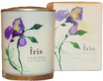 Crabtree & Evelyn - Lumanare parfumata Crabtree & Evelyn Iris, 200 g