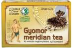 Dr. Chen Patika Gyomor Meridián filteres tea 20x