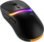 Glorious PC Gaming Race Model D3 Wireless Black (GLO-D3-WL-BLK) Mouse