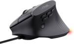 Trust GXT 145 REXXA (26024) Mouse