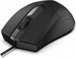 Rebeltec Focus RBLMYS00059