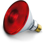 Beurer IL21, IL35 csereizzó (61651) (Izzo--150-W)