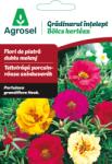 Agrosel Seminte Flori de piatra dublu melanj, Agrosel, Gradinarul intelept - 0, 35 g (5948872035988)